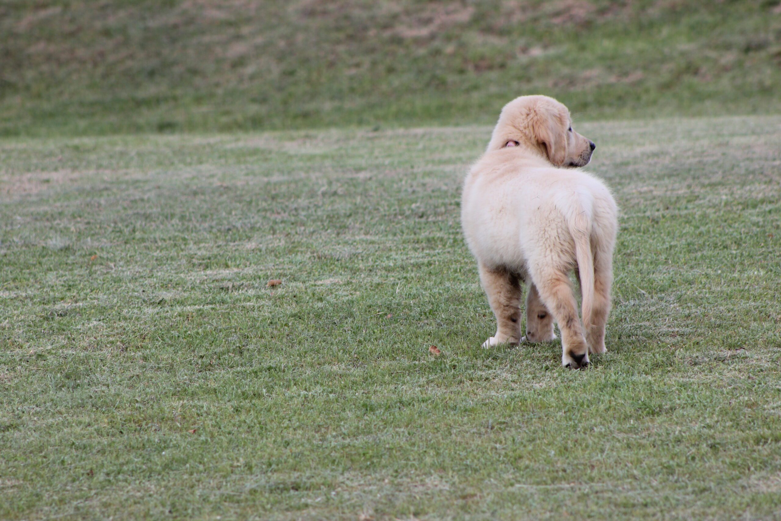 Hannah January 2013 017
