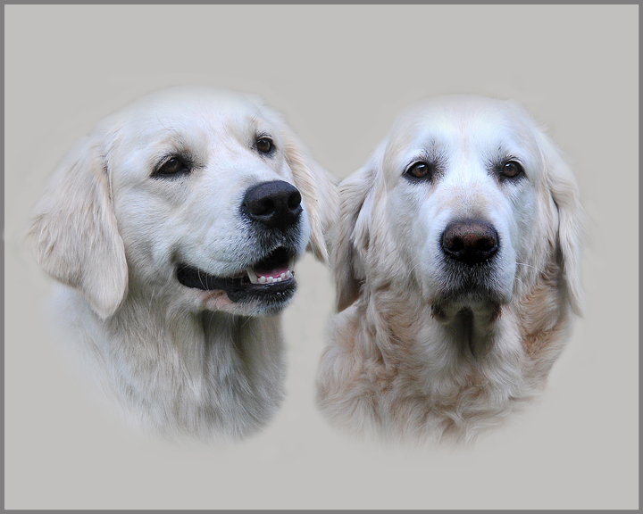 DSC_4943 - Copy - Copy - Copy (3)